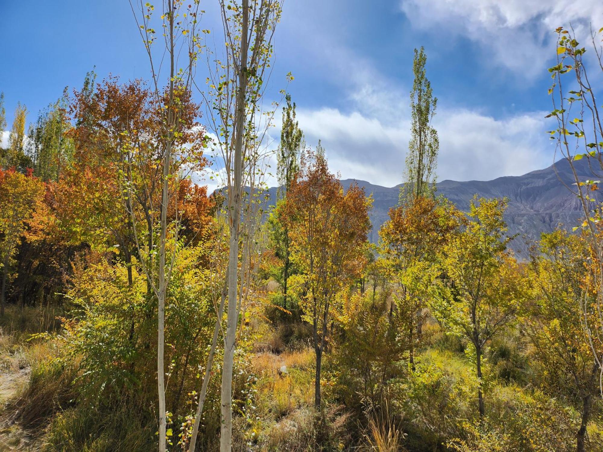 Lharimo Hotel Leh - Ladakh エクステリア 写真