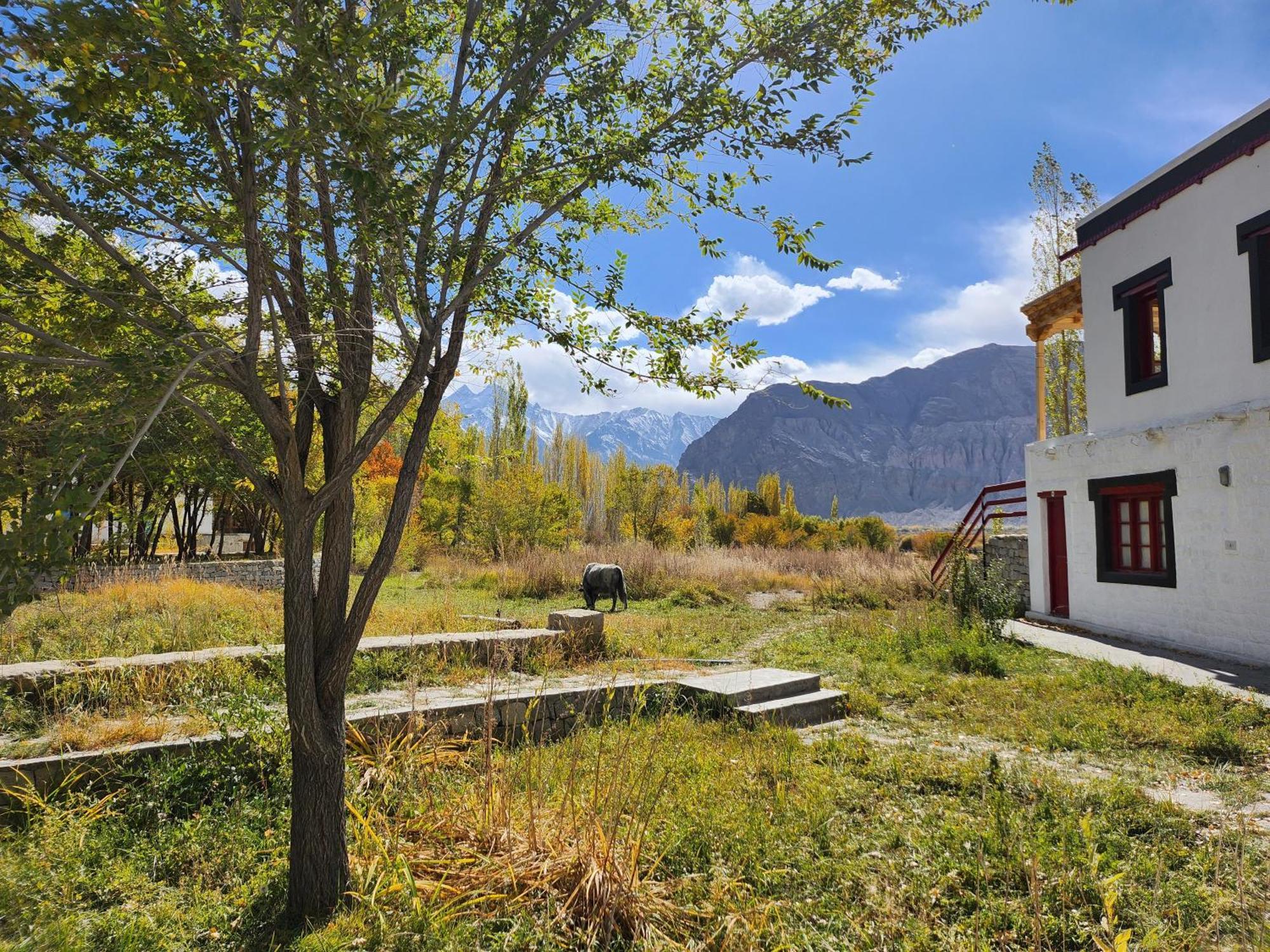 Lharimo Hotel Leh - Ladakh エクステリア 写真