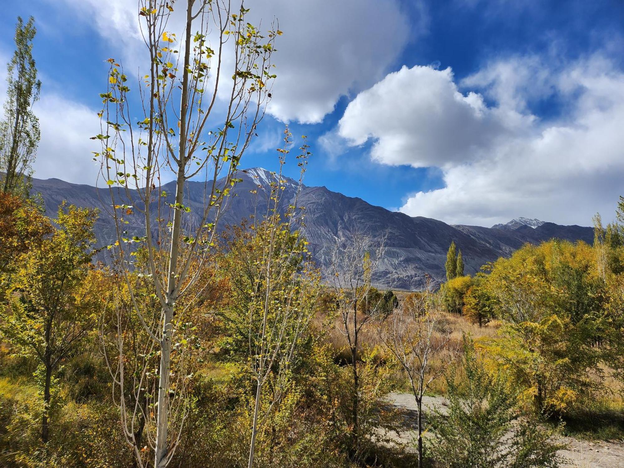 Lharimo Hotel Leh - Ladakh エクステリア 写真