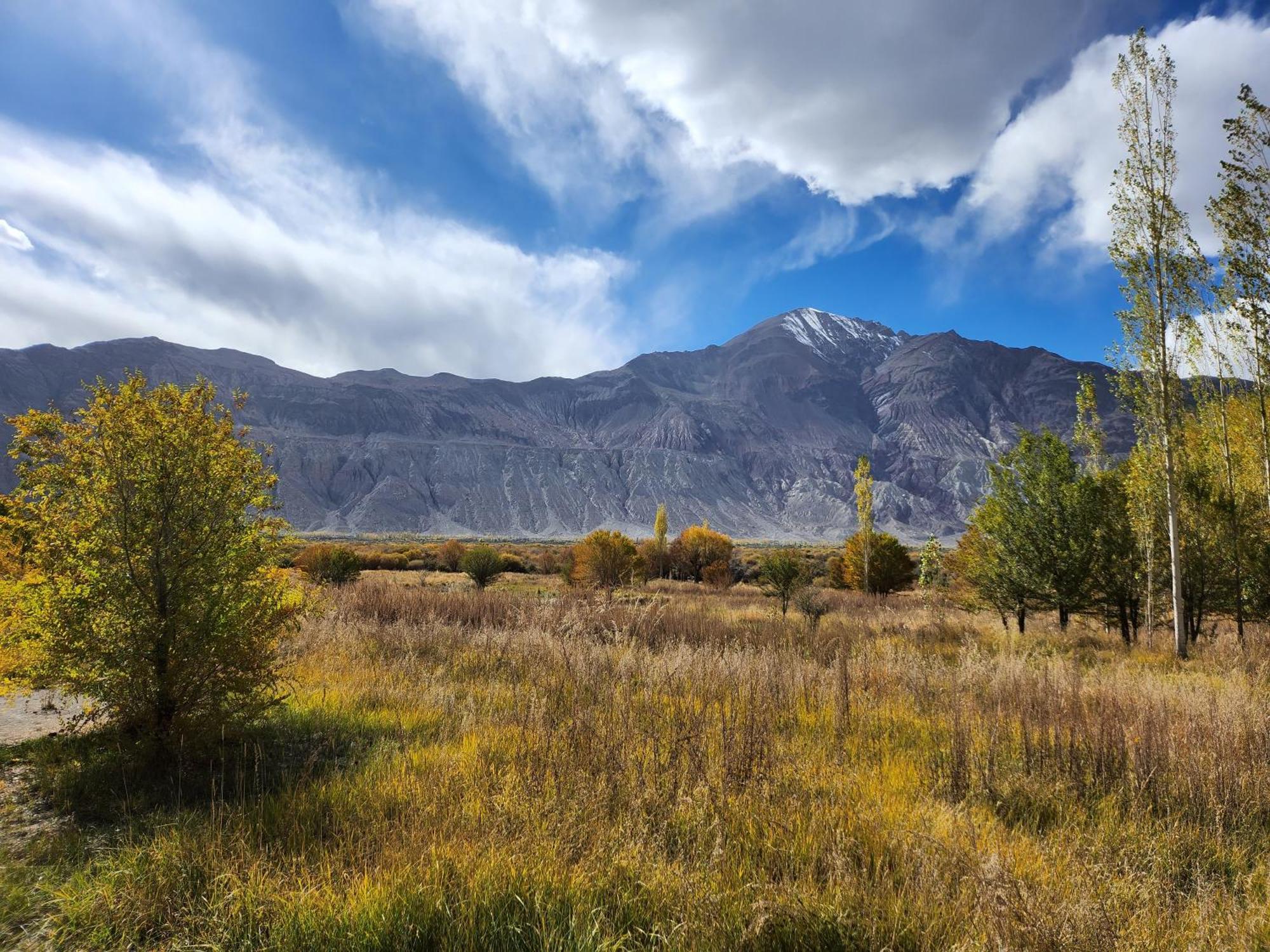 Lharimo Hotel Leh - Ladakh エクステリア 写真