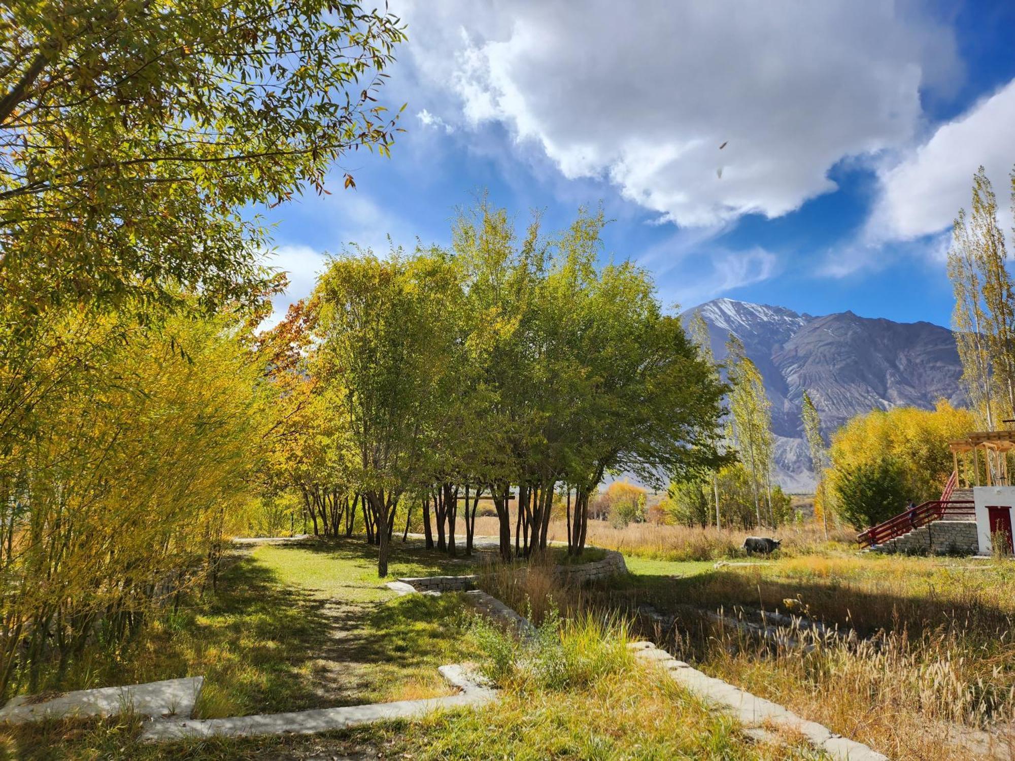 Lharimo Hotel Leh - Ladakh エクステリア 写真