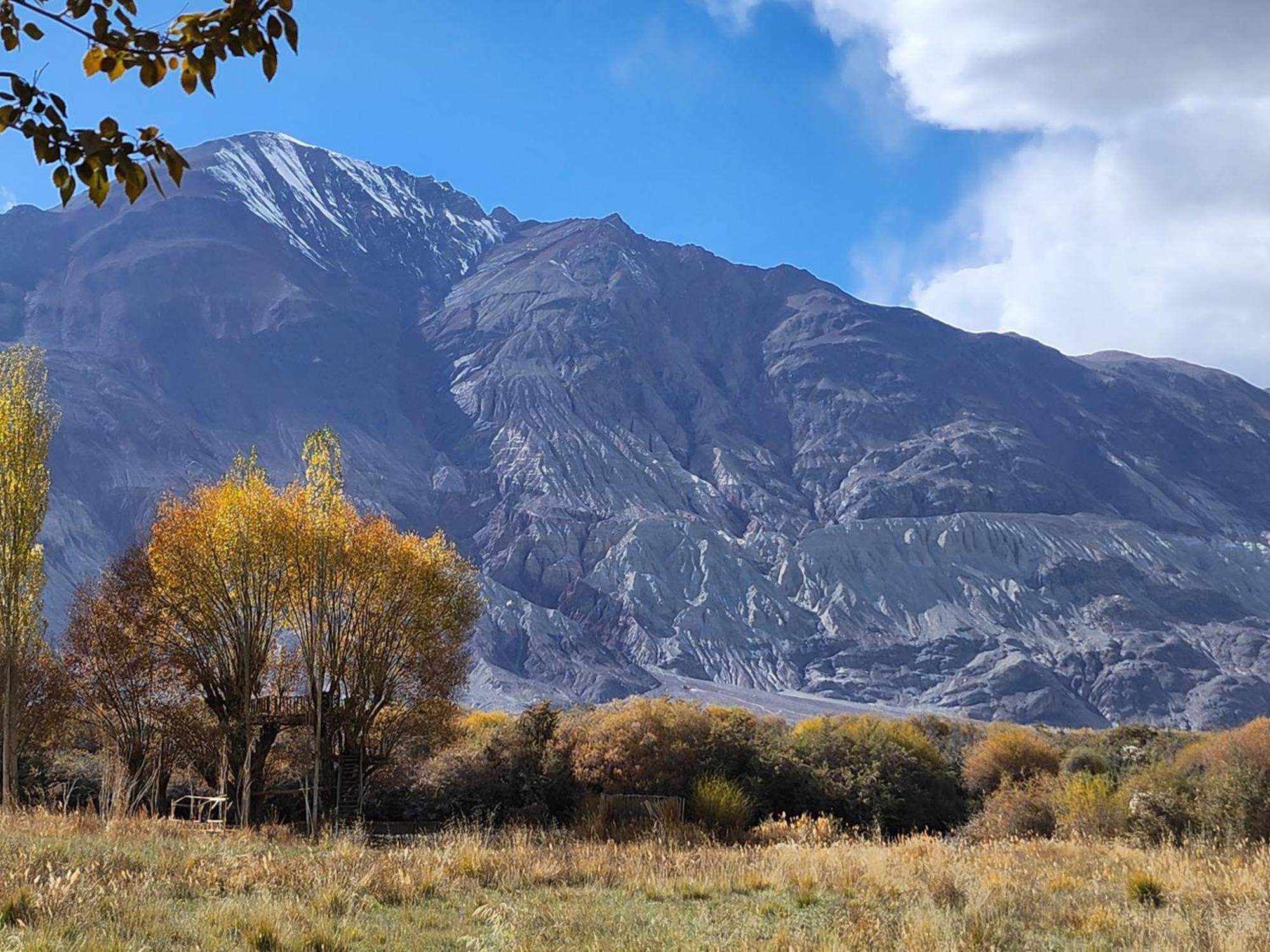 Lharimo Hotel Leh - Ladakh エクステリア 写真