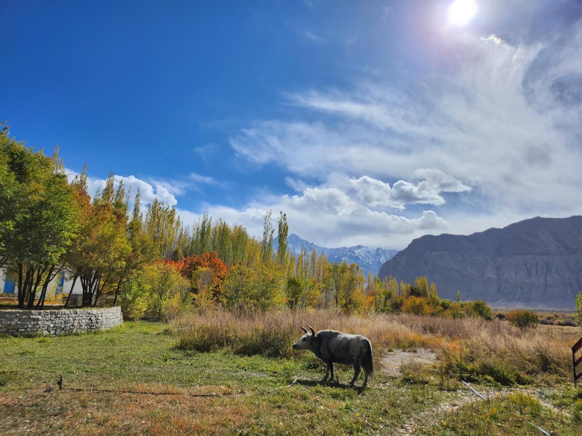 Lharimo Hotel Leh - Ladakh エクステリア 写真