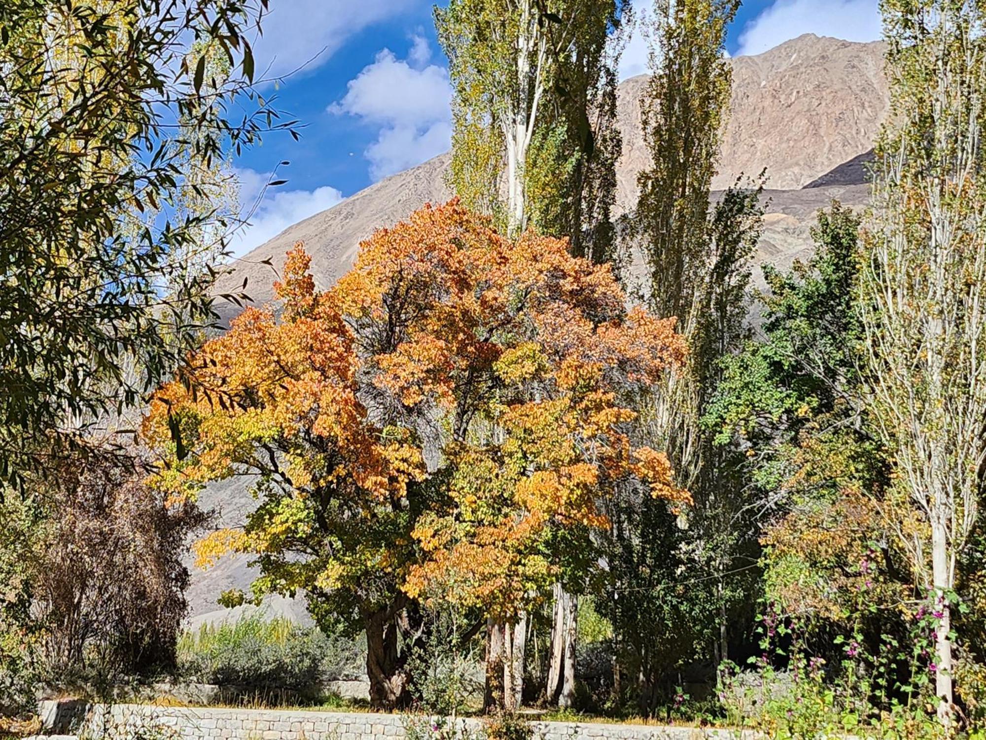 Lharimo Hotel Leh - Ladakh エクステリア 写真