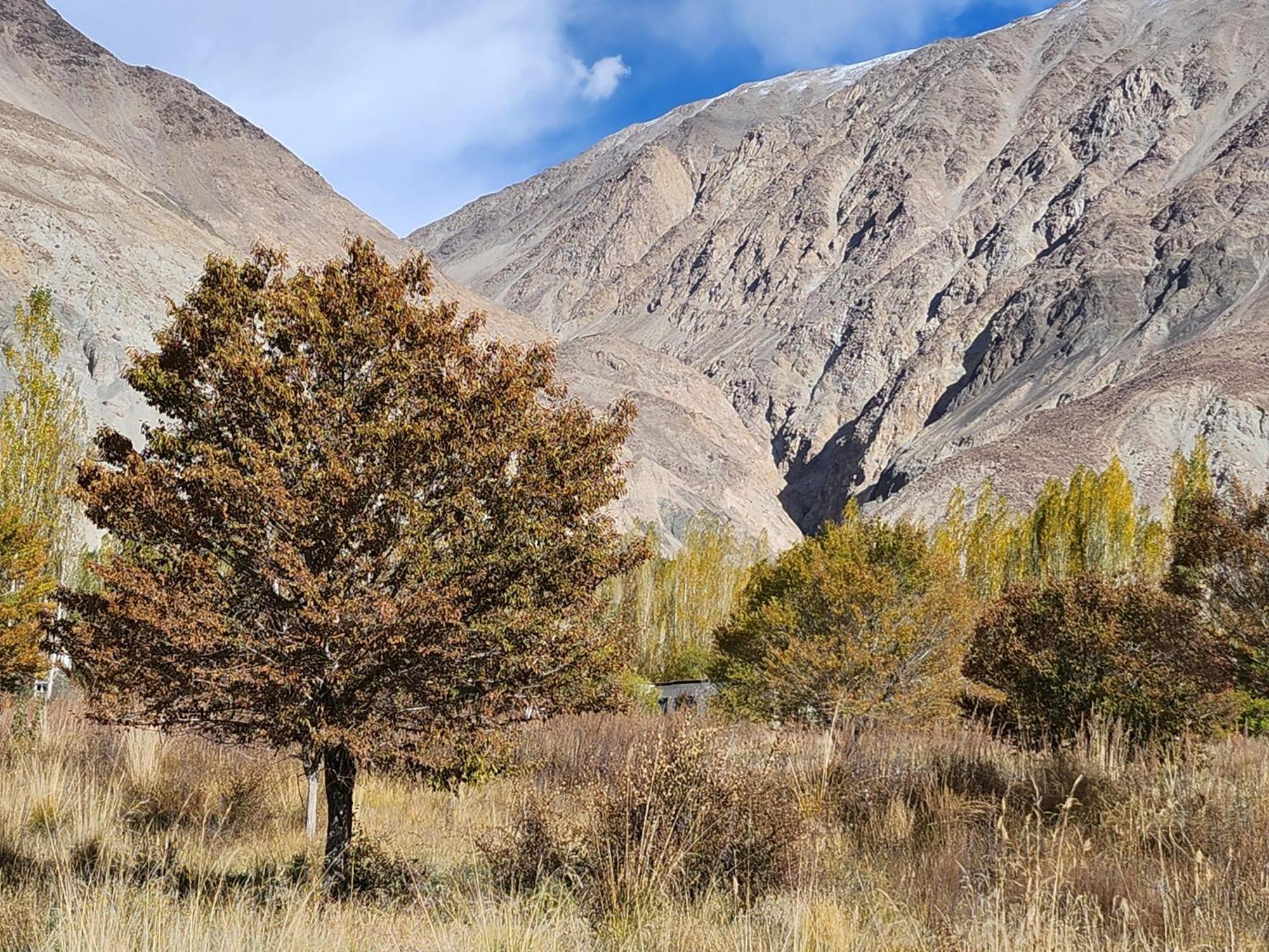 Lharimo Hotel Leh - Ladakh エクステリア 写真